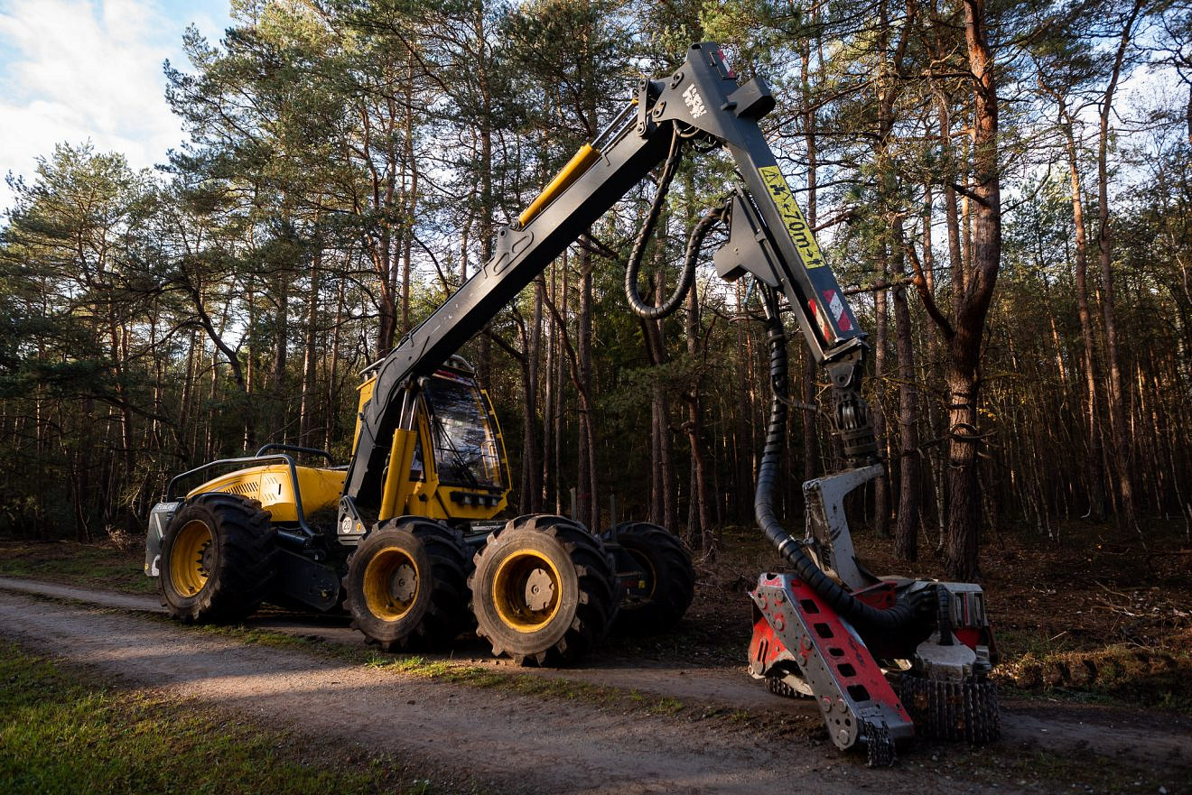 Der Harvester Bäume fällen auf Knopfdruck? Forst erklärt