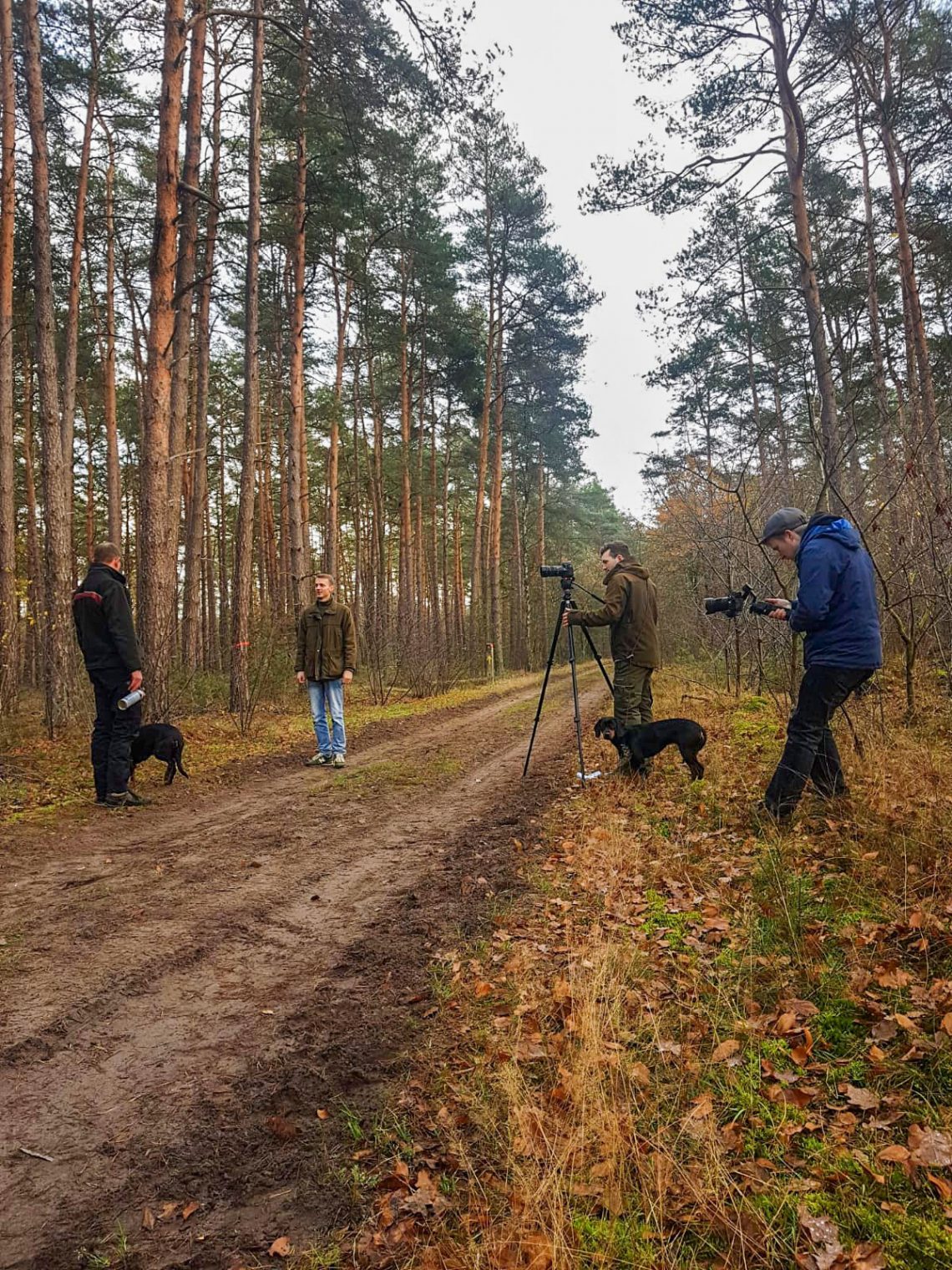 Startseite Forst erklärt