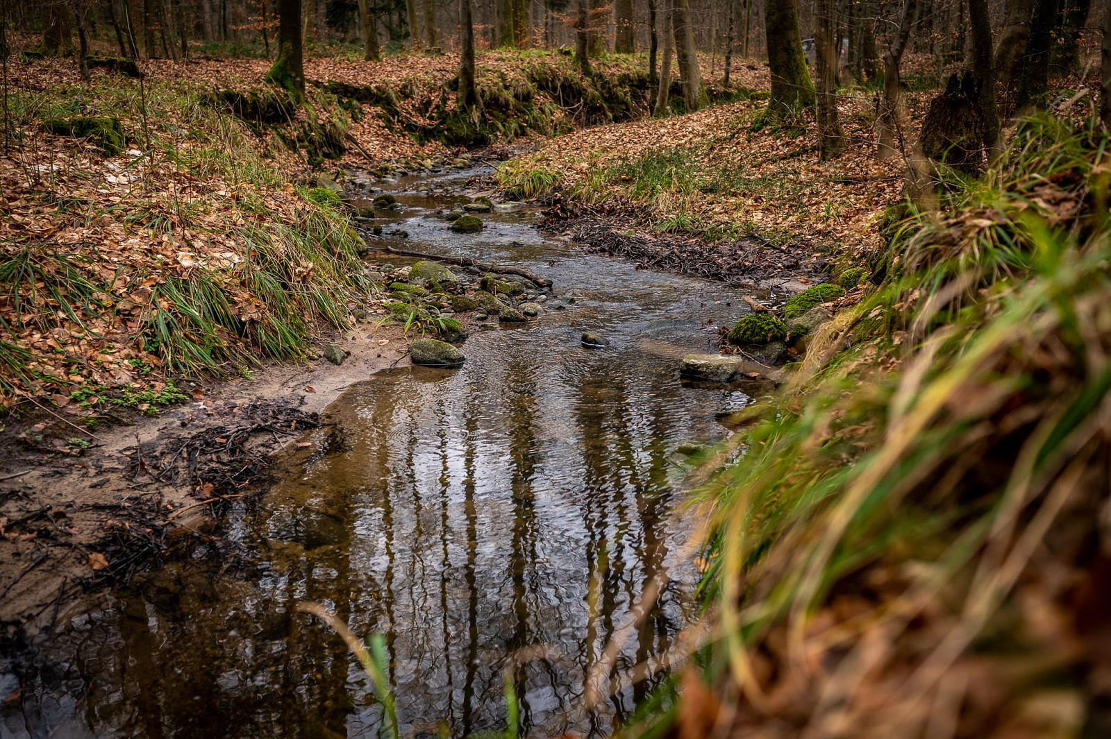 FFHGebiete Naturschutz der besonderen Art Forst erklärt