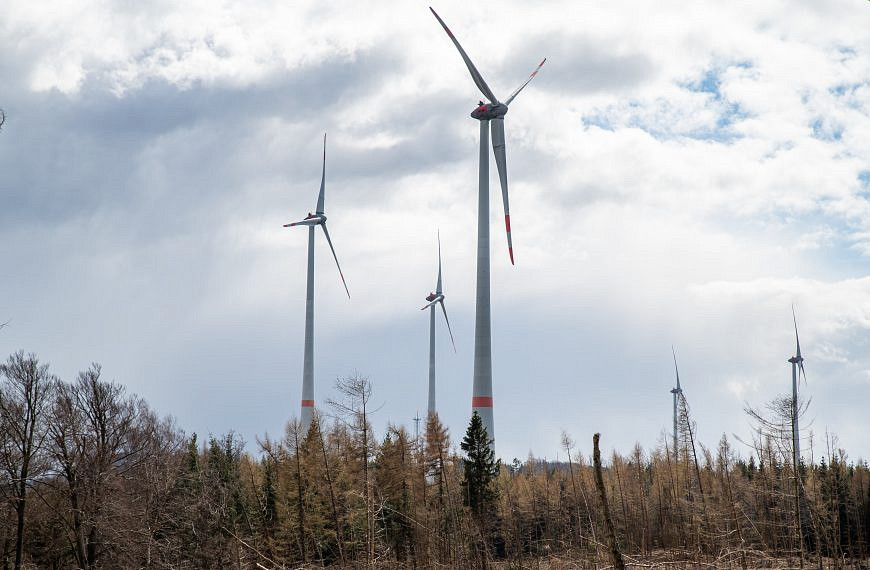 Windenergie aus dem Wald – Kampf gegen den Klimawandel zu Lasten des Naturschutz’?