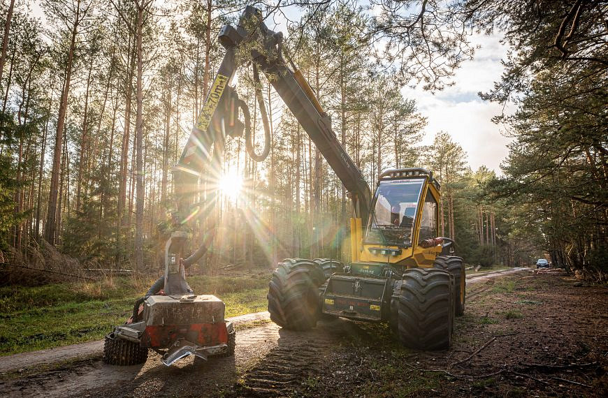 Holzernte: Mit dicken Maschinen durch den Wald