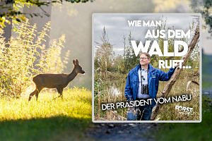 WMADWR #15 – NABU-Präsident Jörg-Andreas Krüger: Wie funktioniert Naturschutz in unseren Wäldern