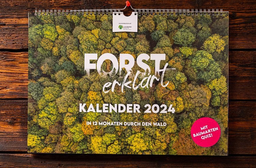 Auf ein neues: Forst erklärt-Waldkalender 2024