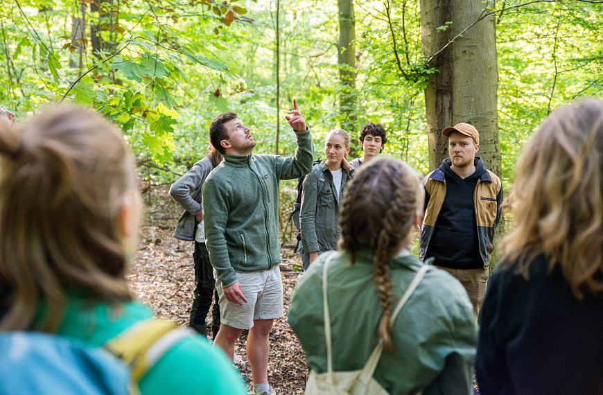 Grüner Klassenraum – Was ist Waldpädagogik?