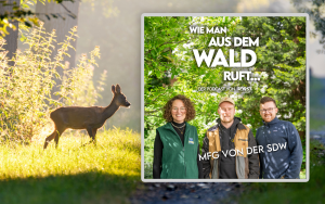 WMADWR 22 – MfG von der SDW