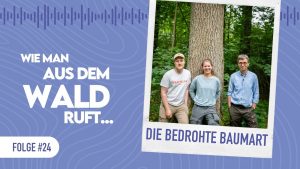WMADWR #24 – Eine Baumart in Deutschland droht(e) auszusterben