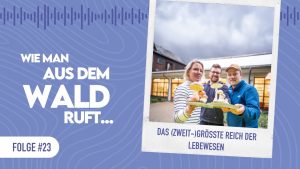 WMADWR #23 – Das (zweit-)größte Reich der Lebewesen