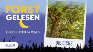 Forstgelesen #1 – Die Eiche