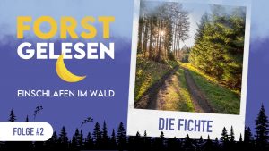 Forstgelesen #2 – Die Fichte