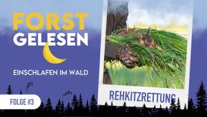 Forstgelesen #3 – Rehkitzrettung