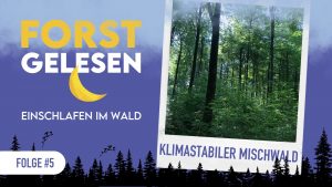 Forstgelesen #5 – Der klimastabile Mischwald