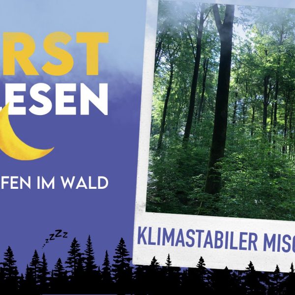 Forstgelesen #5 – Der klimastabile Mischwald