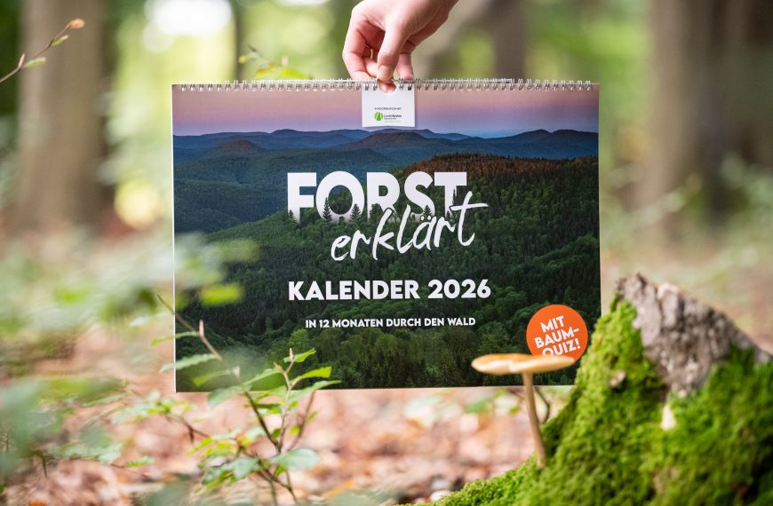 Unser Wald-Kalender 2026 ist da!