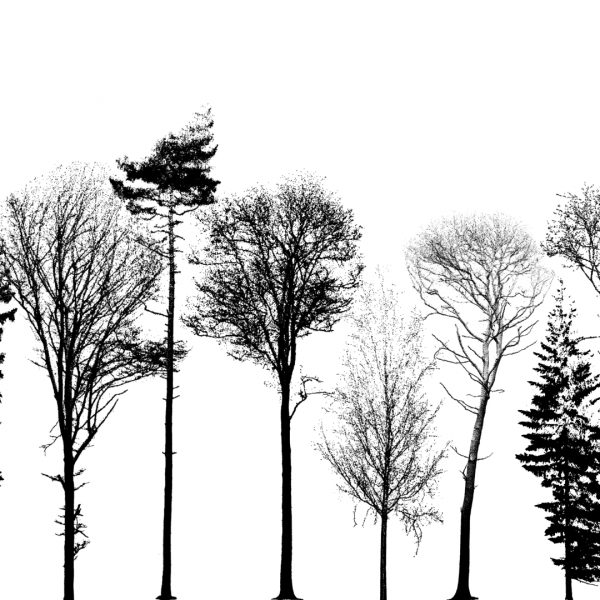 Leider oder lieber LiDAR?