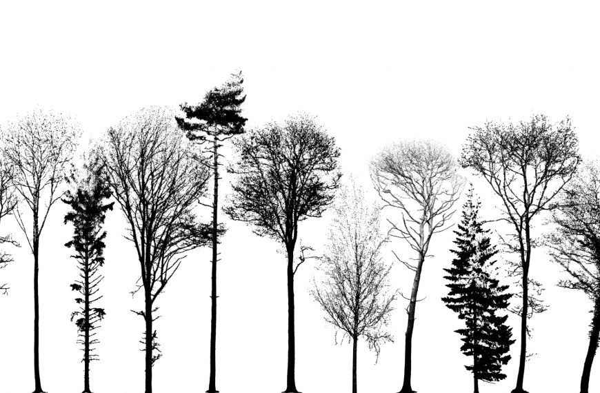 Leider oder lieber LiDAR?