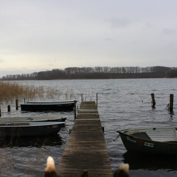 Das Grüne Band – Die unberührte Natur der Wiedervereinigung