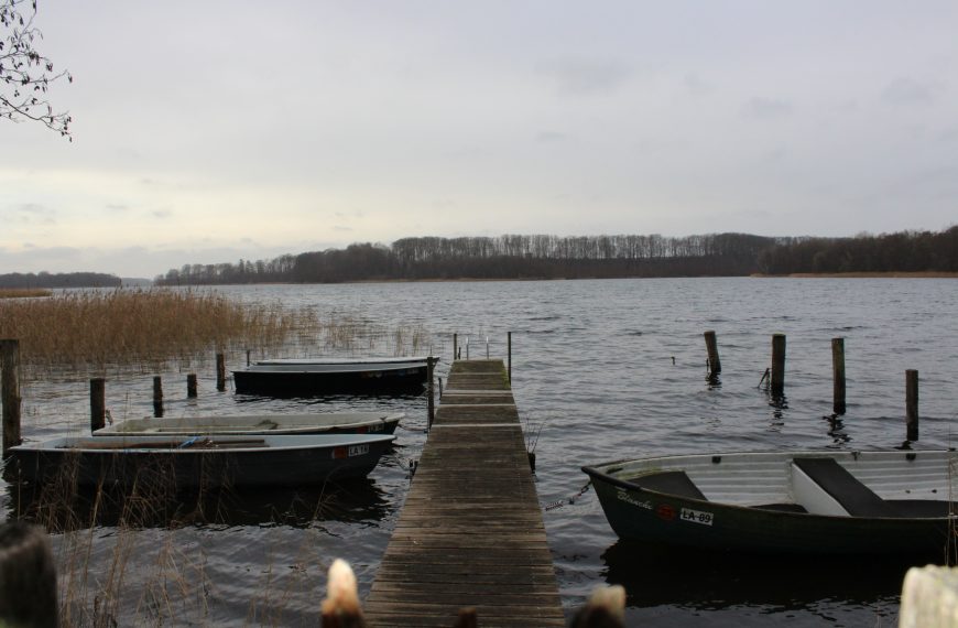 Das Grüne Band – Die unberührte Natur der Wiedervereinigung