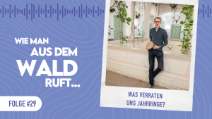 WMADWR #29 Was verraten uns Jahrringe?