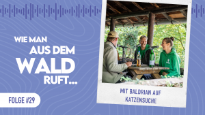 WMADWR #30 Mit Baldrian auf Katzensuche
