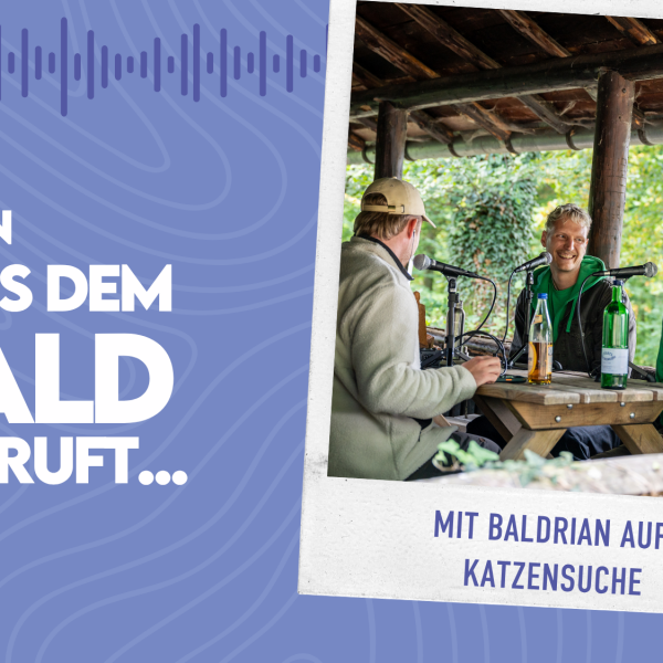 WMADWR #30 Mit Baldrian auf Katzensuche