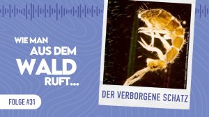 WMADWR #31 – Der verborgene Schatz (Bodenkunde)