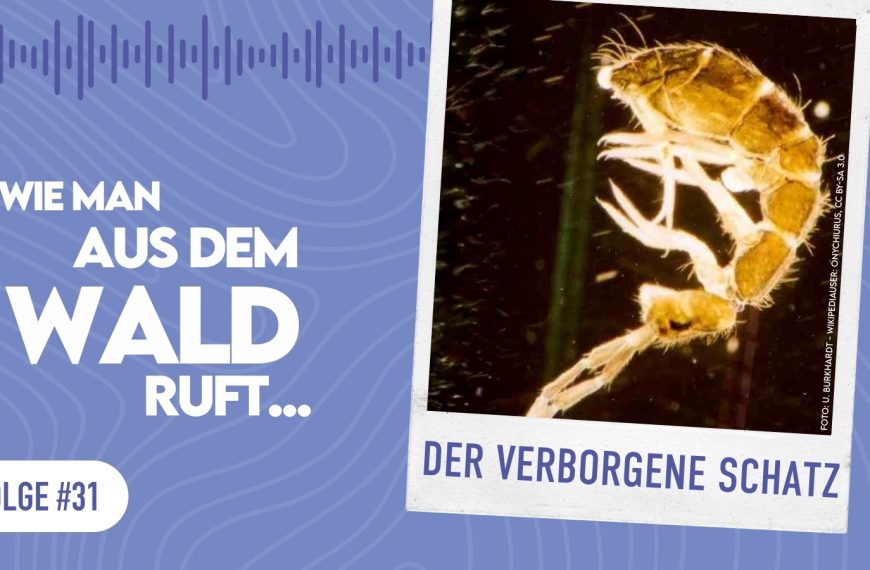 WMADWR #31 – Der verborgene Schatz (Bodenkunde)