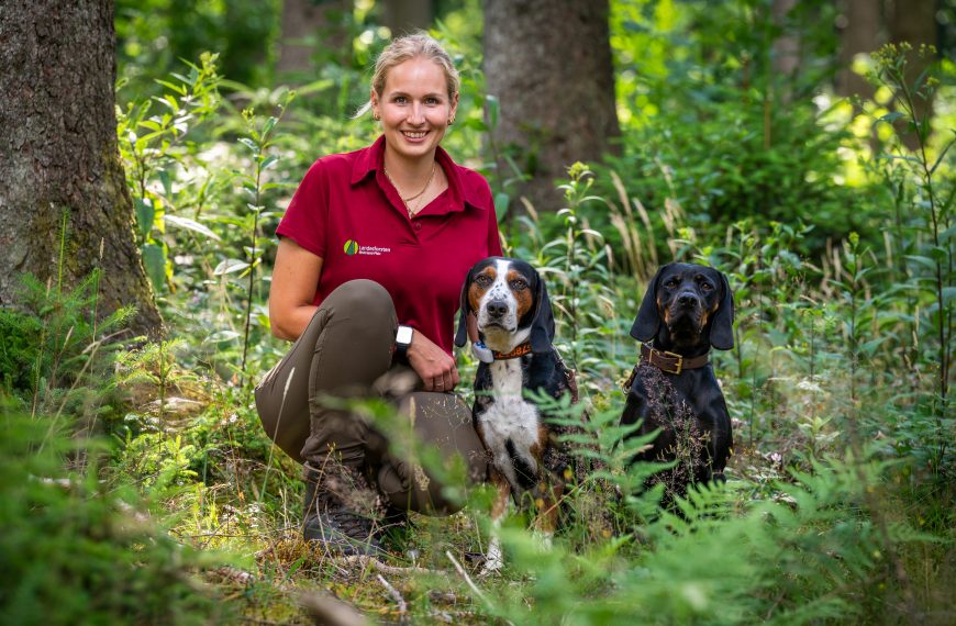 Frauenpower f&uuml;r den Wald!