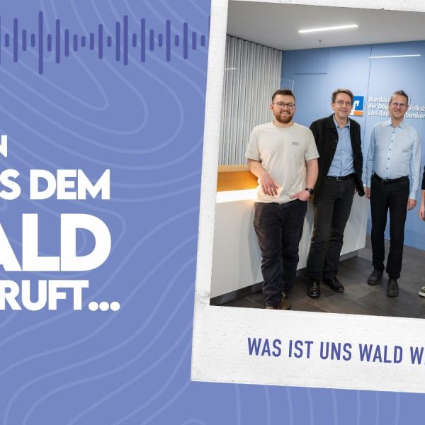 WMADWR #33 – Was ist uns Wald wert?