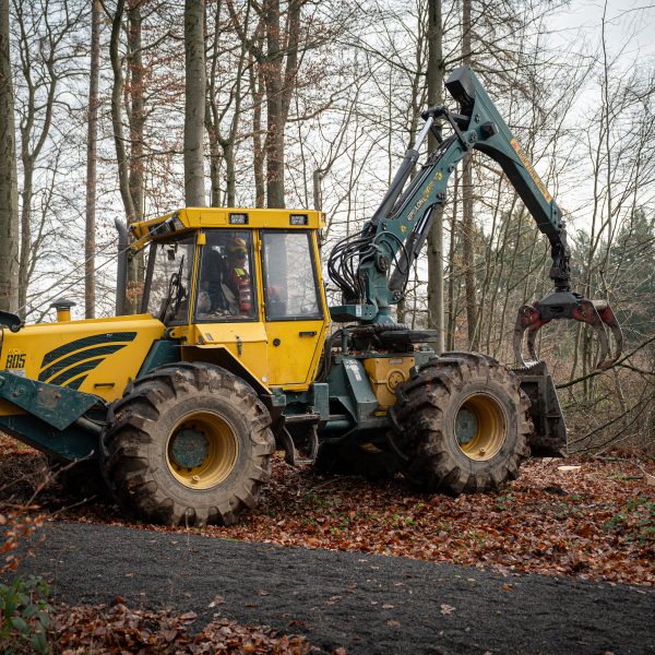 Starke Maschinen im Wald – So funktioniert moderne Holzbringung