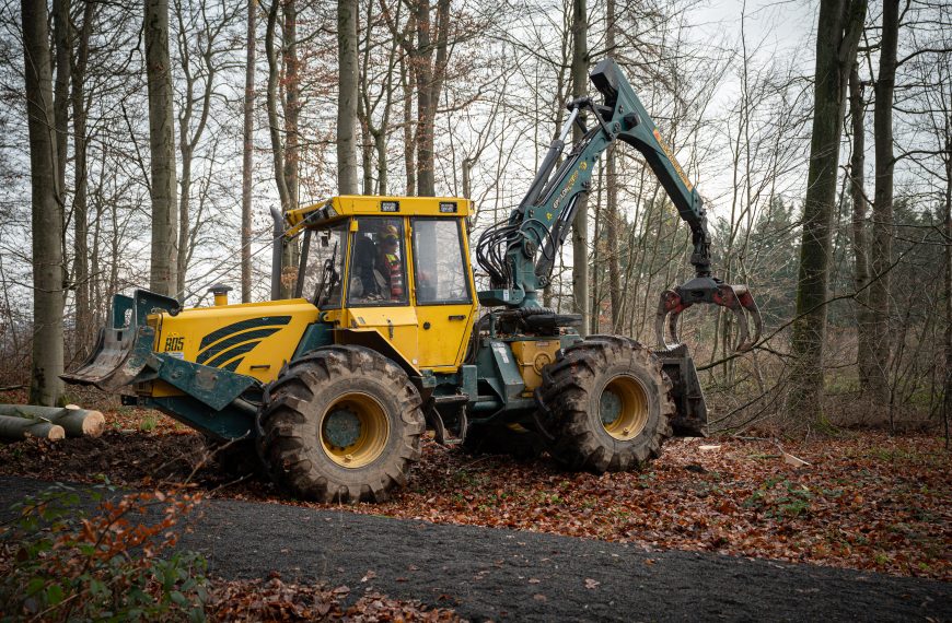 Starke Maschinen im Wald – So funktioniert moderne Holzbringung