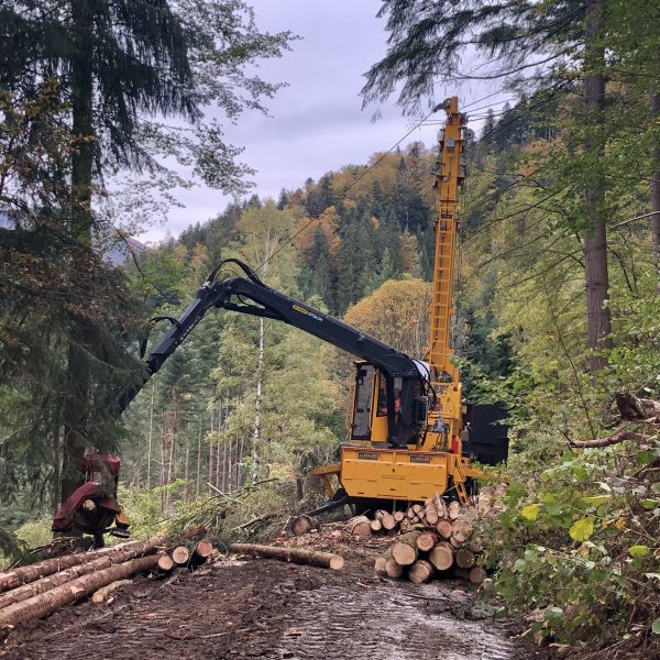 Holz am Limit: Mit Seilkran und Helikopter am Steilhang