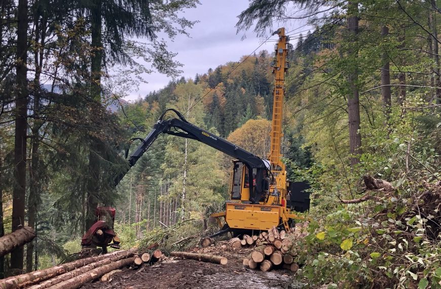 Holz am Limit: Mit Seilkran und Helikopter am Steilhang