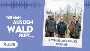 WMADWR #36 Ein Pferder&uuml;cken kann auch entz&uuml;cken