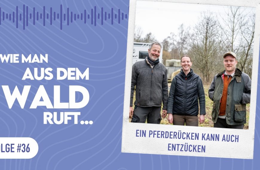 WMADWR #36 Ein Pferderücken kann auch entzücken