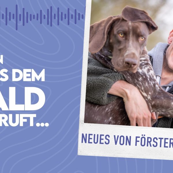 WMADWR #35 – Neues von Förster Simon