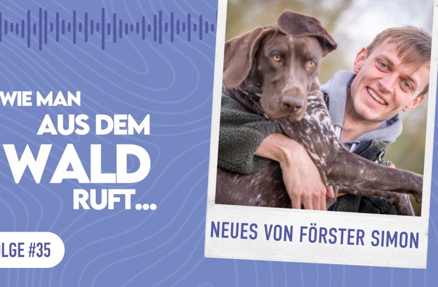 WMADWR #35 – Neues von Förster Simon