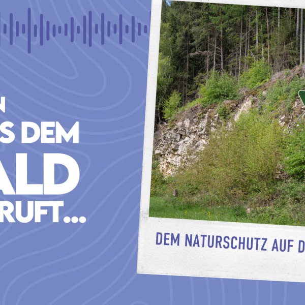 WMADWR #39 – Dem Naturschutz auf der Spur