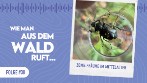 WMADWR #38 Zombieb&auml;ume im Mittelalter