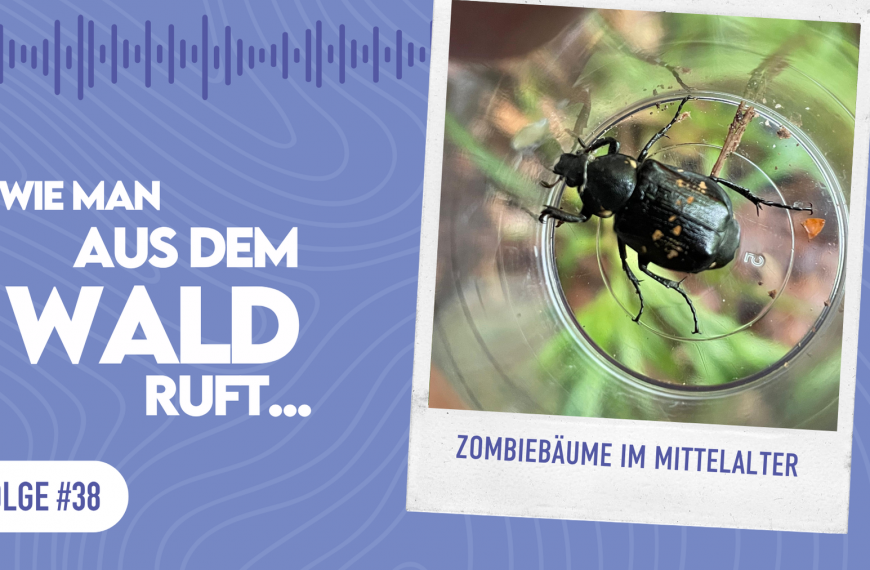 WMADWR #38 Zombiebäume im Mittelalter