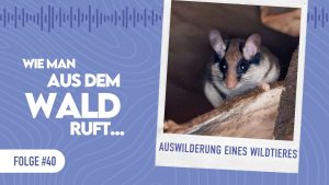 WMADWR #40 – Auswilderung eines Wildtieres